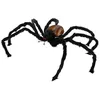 Image de ATOSA araignée halloween marron 130*100 cm lumière