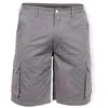 Image de Pantalon de Travail Court Coton Basic