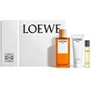 Image de Loewe Seulement etv 100 ml + lot bb