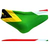 Image de TURBO South Africa Swimming Brief XXXL