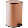 Image de COSMIC Poubelle Blossom Pink Essentials 5L