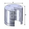Image de AUTOFREN SEINSA D02551 Piston étrier de frein 54mm Acier Compatible avec PEUGEOT 206 3/5 portes 2A/C 306 3/5 portes 7A, 7C, N3, N5, RENAULT Kangoo 1 KC, KC0/1 Megane 2 3/5 portes BM, CM, BM0/1, CM0/1