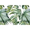 Image de Viniliko Tapis, Vinyle sans phtalates de 2,8 mm d'épaisseur, Multicolore, 66 x 100