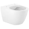 Image de Roca A346688000 Tasse suspendue compacte, Rimless, Collection Ona, Blanc (sièges non inclus)