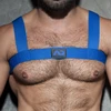 Image de AD Fetish Harnais Élastique AD FETISH Basic Bleu
