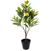 Image de Citronnier Artificiel en Pot 60cm   Arbre Factice en PVC   Plante Verte Décorative avec Citrons Jaunes Réalistes