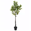 Image de Grand Olivier Artificiel en Pot 210cm   Arbre Factice en PVC avec Olives Noires   Plante Décorative XXL Réaliste