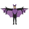 Image de FIESTAS GUIRCA Déguisement de Chauve-Souris Volante Enfant
