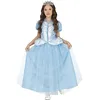 Image de FIESTAS GUIRCA Princesse Céleste Déguisement pour Fille - Reine Bleue de la Neige - Costume pour Enfant 3-4 ans