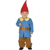 Image de FIESTAS GUIRCA | Costume de Nain Bébé (12-18 Mois) - Chemise, Ceinture, Bonnet et Pantalon - Costumes de Contes et Fées pour Halloween et Fêtes Enfantines - Idéal pour Enfants - Bleu et Multicolore