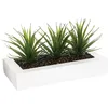 Image de Well Home - Centre de Table décoratif avec 3 Plantes Aloe Vera H.17 cm