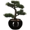 Image de Well Home Bonsaï Artificiel en Pot en céramique