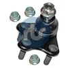 Image de RTS 93-09123-156 Rotule de suspension Essieu avant droit inférieur Compatible avec VW Polo V 3/5 portes 6R1, 6C1 Polo IV 3/5 portes 9N, 9A up! 3/5 portes 121, 122, BL1, BL2, BL3, 123, AUDI, SKODA
