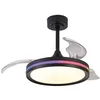 Image de Mantra - Ventilateur lampe LED RVB Raimbow North de 40 W et 28 W de puissance Noir 2700 K-6500 K, 2500 lm