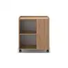 Image de Desserte 1 porte 2 niches ZEO coloris chêne