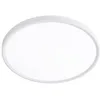 Image de Plafonnier LED Mery Blanc 18W 1782lm 3CCT Capteur