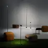Image de LEDS-C4 Invisible potelet LED avec piquet