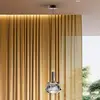 Image de Schuller Valencia Suspension LED Scarlett, couleur argent, Ø 18 cm, verre