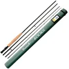 Image de Baetis
