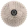 Image de Msc 2 Spider 10s