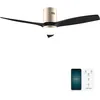Image de Cecotec Ventilateur EnergySilence Aero 5600 Aqua GoldBlack Connected