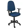 Image de Piqueras y Crespo Chaise Ayna Similicuir Bleu Marine avec accoudoirs réglables