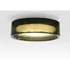 Image de Plafonnier LED MARSET Ringo, Ø 70 cm, vert, plastique, CCT