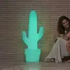 Image de Newgarden Cactus lampe sur pied LED avec batterie rechargeable