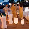 Image de Newgarden Lampadaire LED rechargeable Apolo, blanc, PE, IP44
