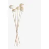 Image de SKLUM Lot de 5 Branches séchées décoratives Aegle Blanc