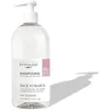 Image de BACK TO BASICS champú todo tipo de cabello 750ml