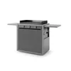 Image de CHARIOT MODERN ACIER FERME 75CM