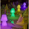Image de Newgarden Lampe Lola SOBREMESA Jardin (FUNC.PILAS) Ø11X20CM