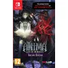 Image de Anima Gate of Memories Nintendo Switch en occasion ou reconditionné