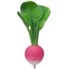 Image de Oli & Carol - Jouet de Dentition et Bain en Caoutchouc Naturel, Ramona The Radish, 15 cm