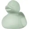 Image de Oli & Carol LDSM-MINT Canard Monochrome Jouet de Bain/Jouet de Dentition Menthe