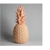 Image de GOODNIGHT LIGHT The PINACOLADA Lamp (Blush)