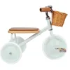 Image de Banwood Tricycle Mint