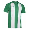 Image de JOMA Inter IV Short Sleeve T-Shirt L