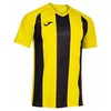 Image de JOMA Inter IV Short Sleeve T-Shirt L