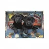 Image de Dino Chiots dans un Coffre
