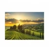 Image de Dino Puzzle XL - Vignoble Maremma