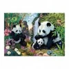 Image de Dino Secret Puzzle - Pandas