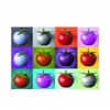 Image de Dino Pop Art - Tomates