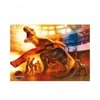 Image de Dino Jurassic Park