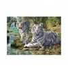 Image de Dino Tigres Blancs