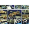 Image de Eduard Accessories 35521 Accessoire de modélisme pour Voiture 181 Tiger I Zimmerit