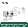 Image de Caméra de surveillance BLINK Indoor Outdoor Camera