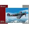 Image de Unbekannt Special Hobby SH72249 Kit de modélisme Spitfire F MK 21