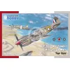 Image de Special Hobby Maquette Avion Militaire : P-40D Warhawk/Kittyhawk MkI Four Guns